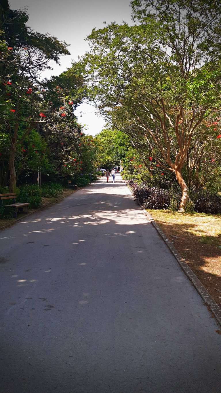20230528_162212.jpg