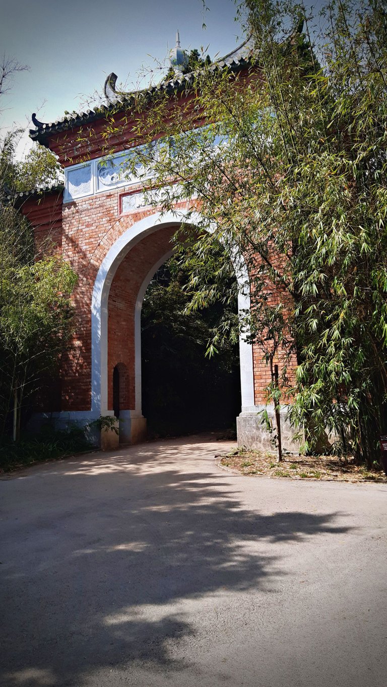 20230528_162524.jpg