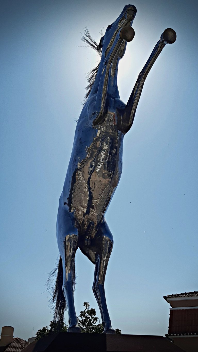 20230702_164512-crop.jpg