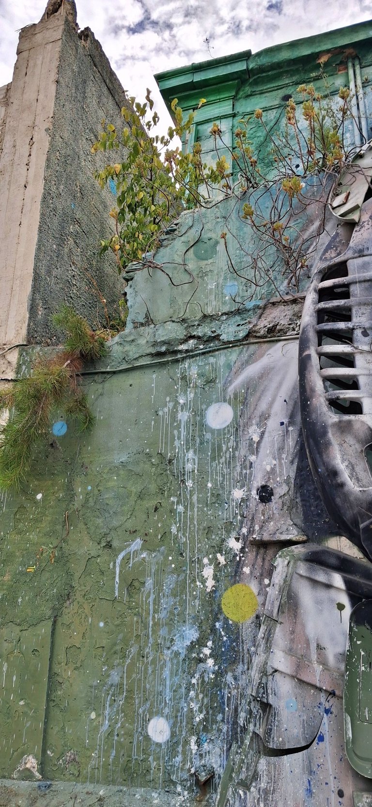 20250827_175032.jpg