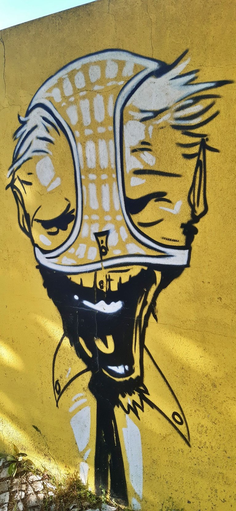 20250427_182955.jpg