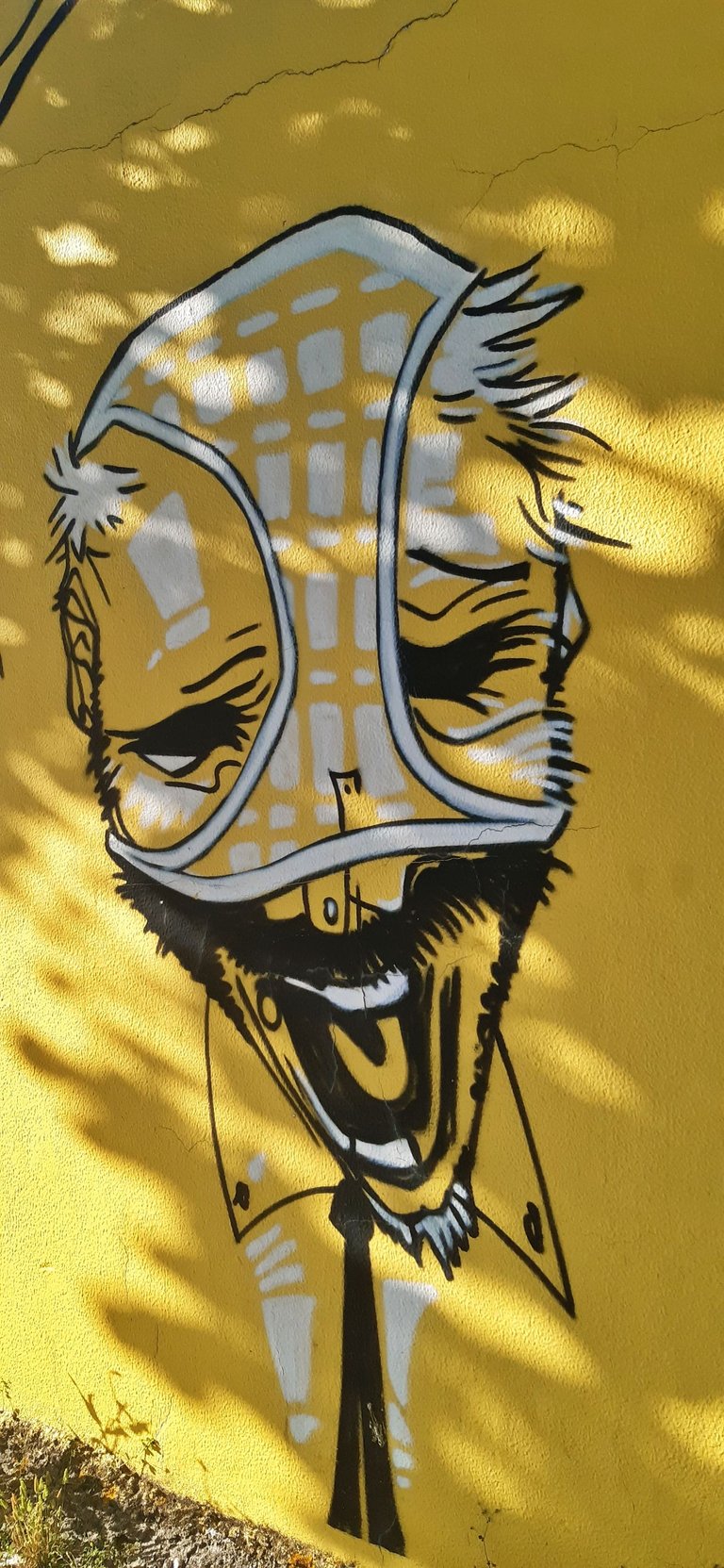 20250427_183103.jpg