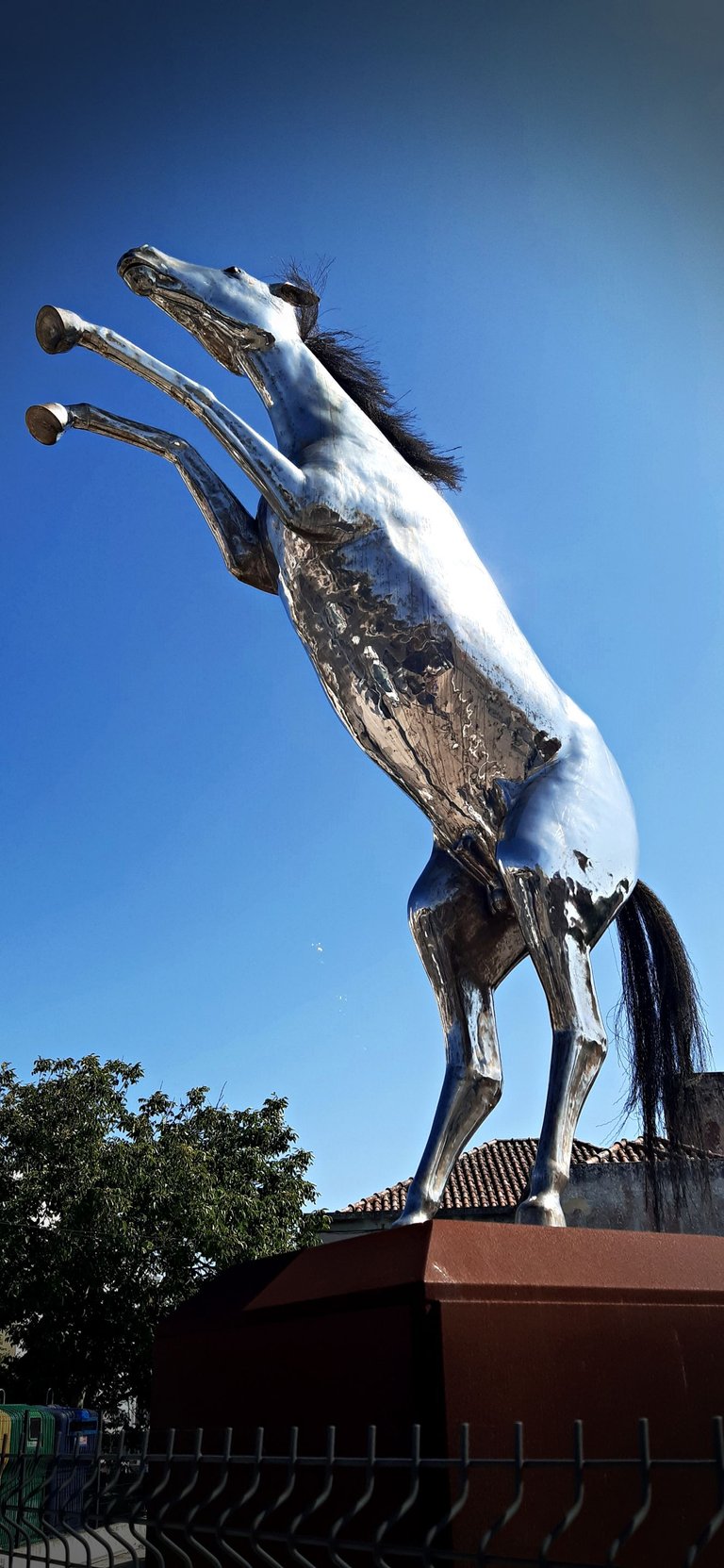 20230702_164523.jpg