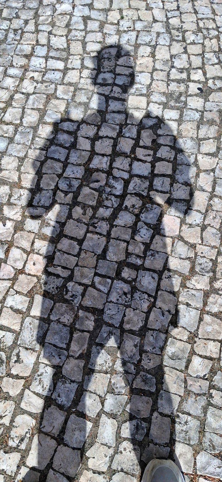 20250530_163302.jpg