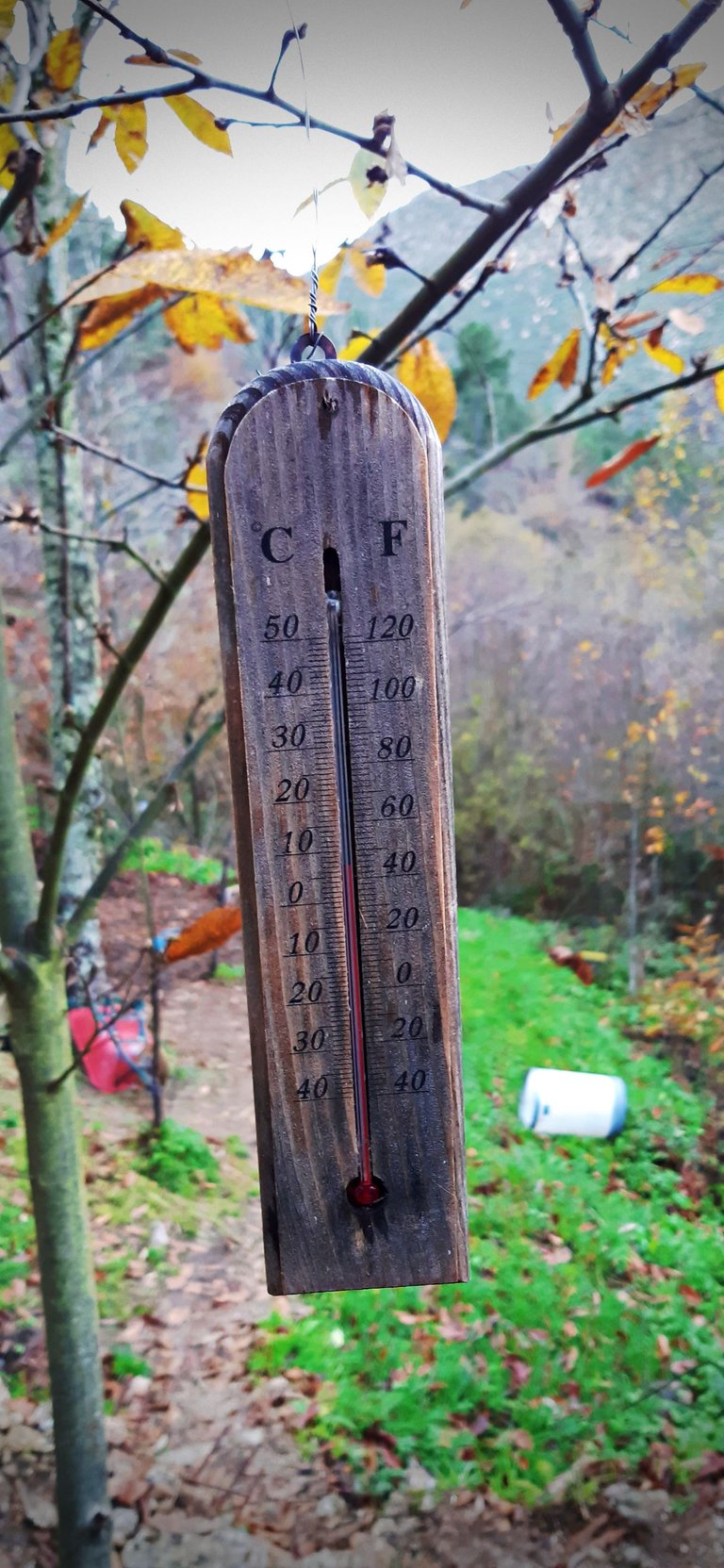 20231201_122927.jpg