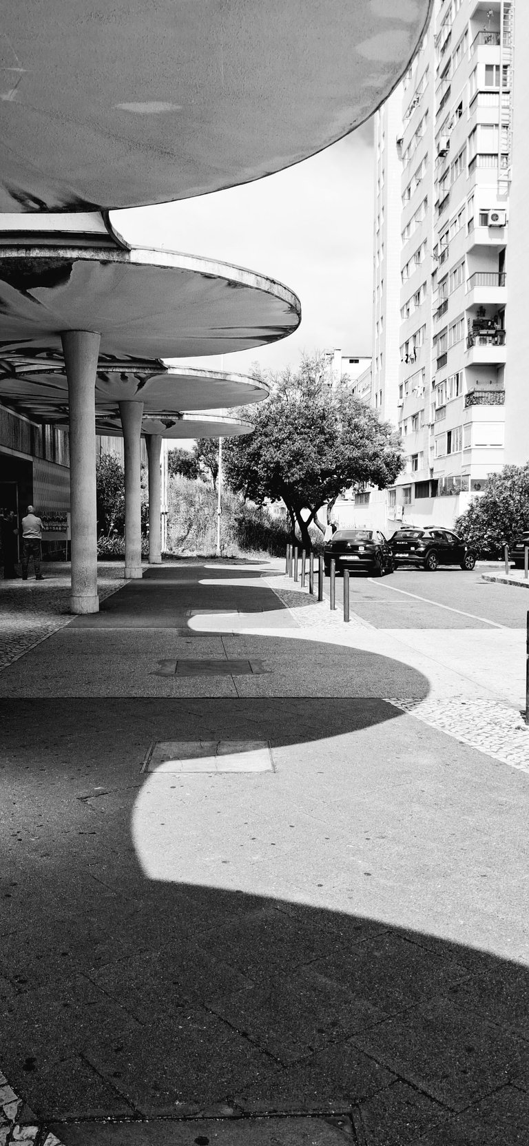 20250613_112236.jpg