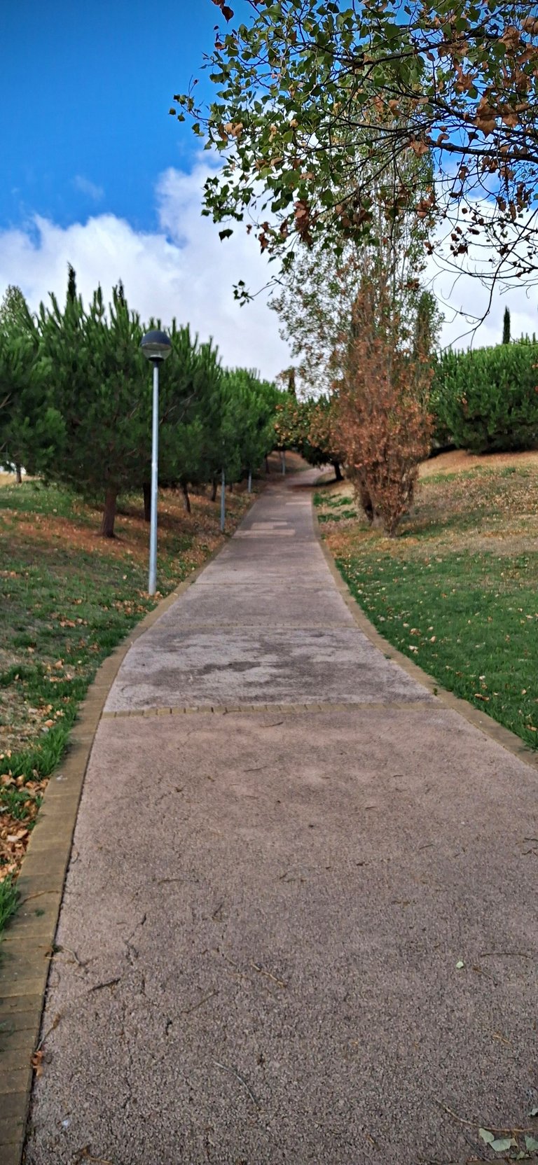 20250829_101046.jpg