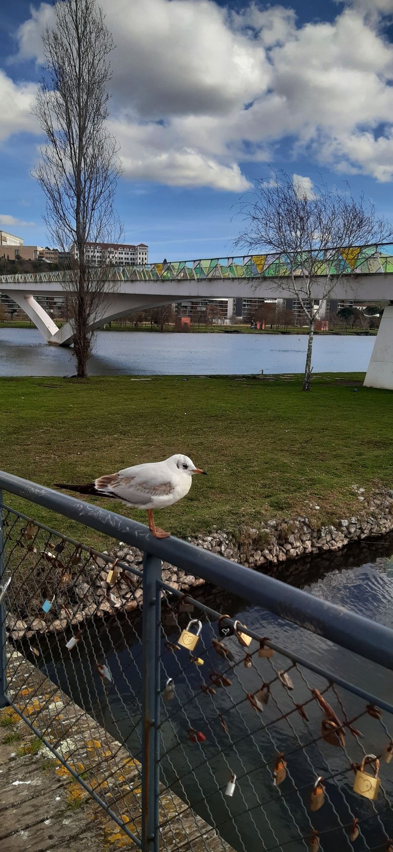 20250224_123417.jpg