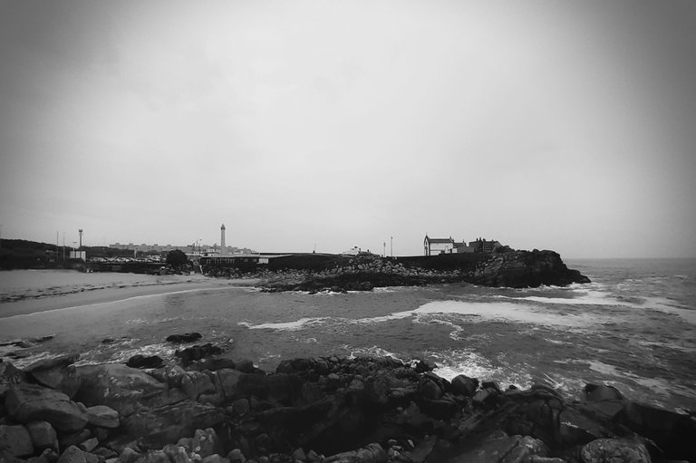 20221009_160242.jpg