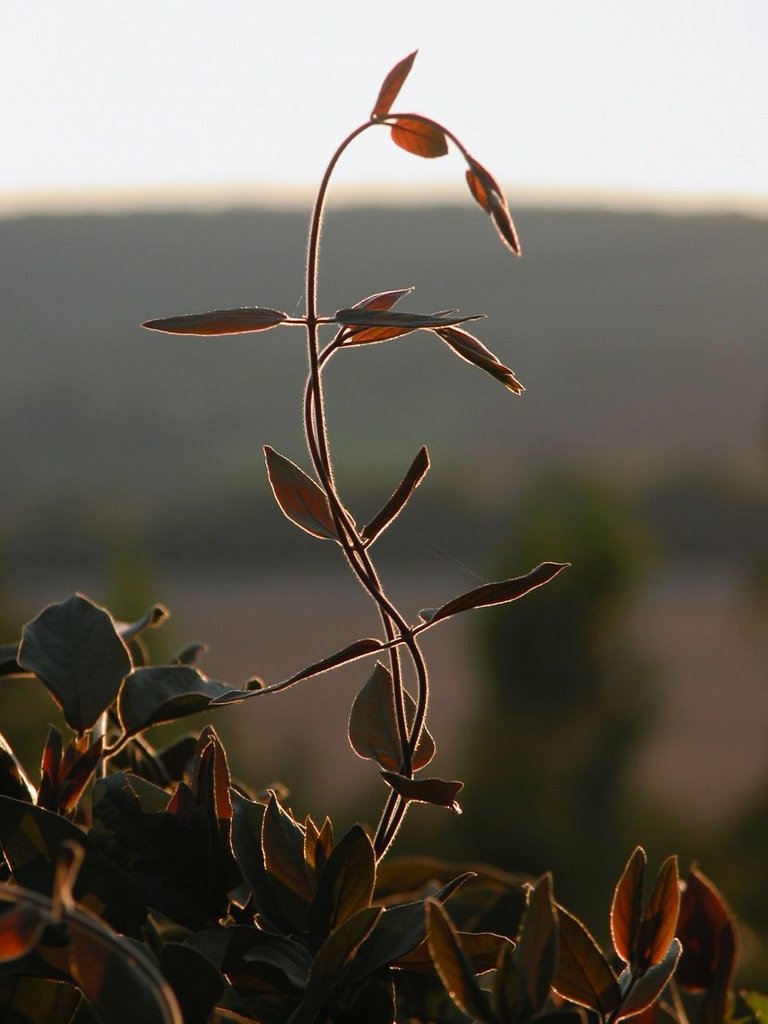 Taize 2007 294_2.jpg