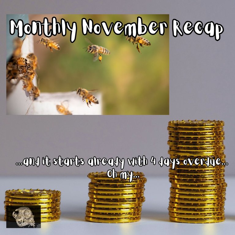 Monthly Recap Capa.jpg