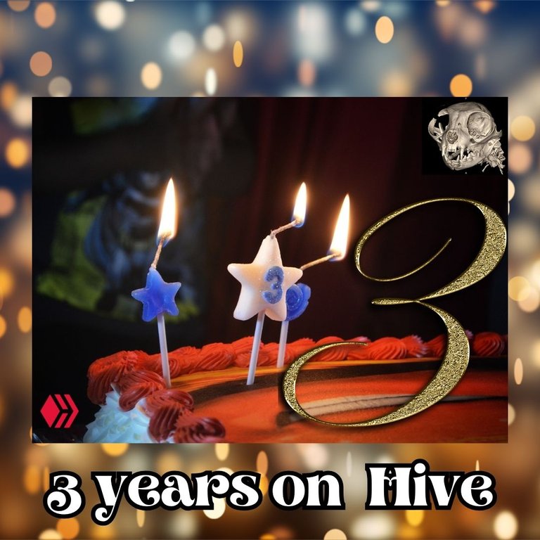 3rd Hiveanniversary.jpg