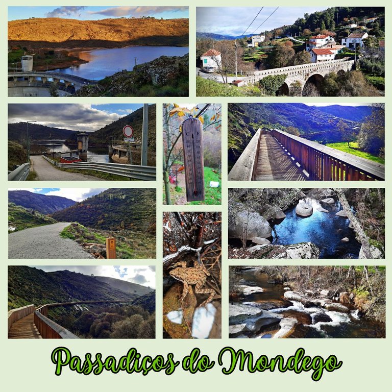 Passadiços do Mondego.jpg