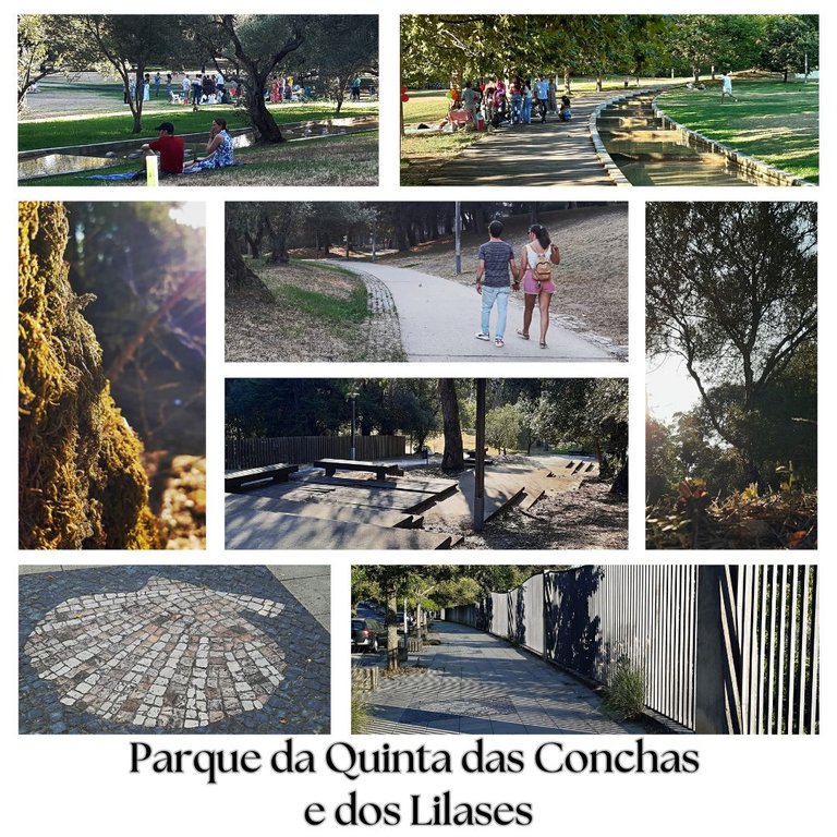 Parque da Quinta das Conchas e dos Liláses.jpg