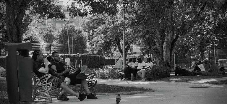 20250802_180443-crop.jpg