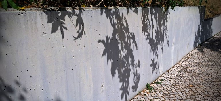 20250530_162708.jpg