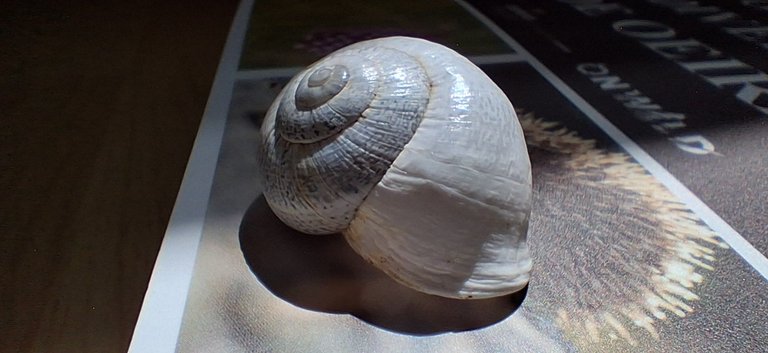 20250615_154051.jpg