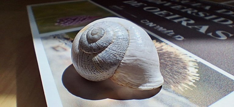20250615_154029.jpg