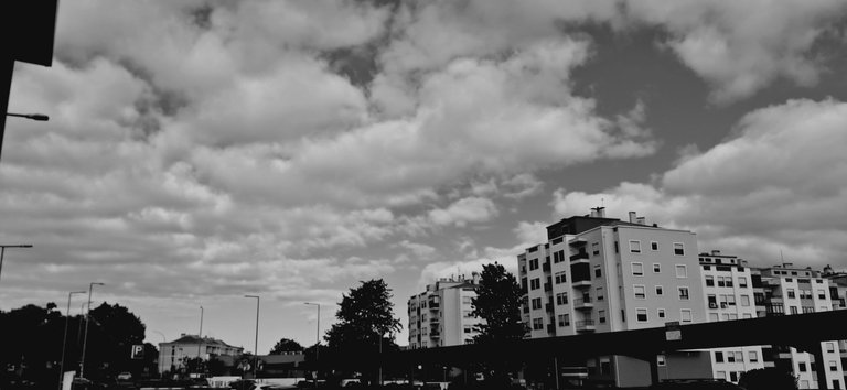 20250710_184448.jpg