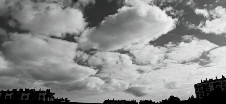 20250710_184457.jpg