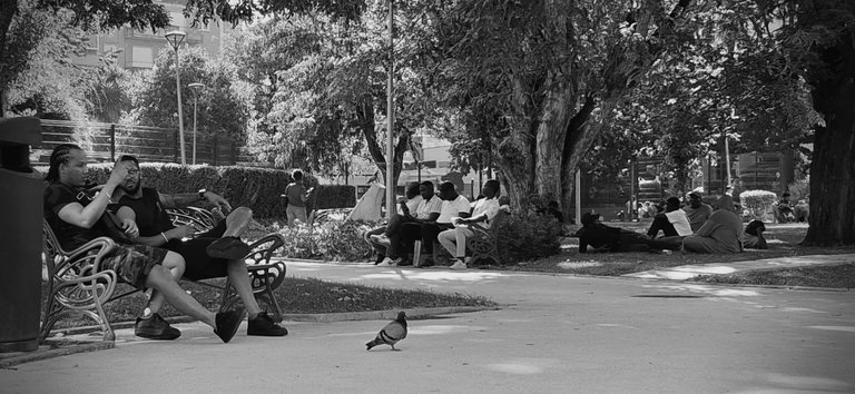 20250802_180454-crop.jpg