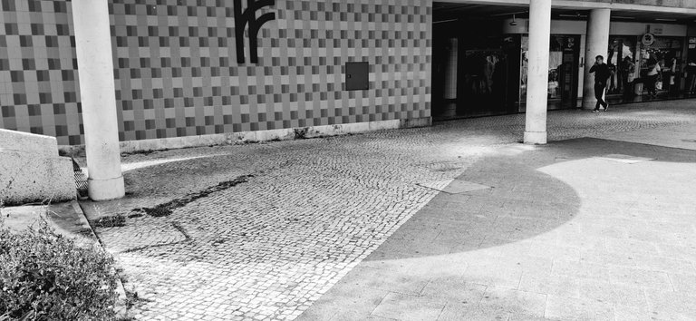 20250613_112537.jpg