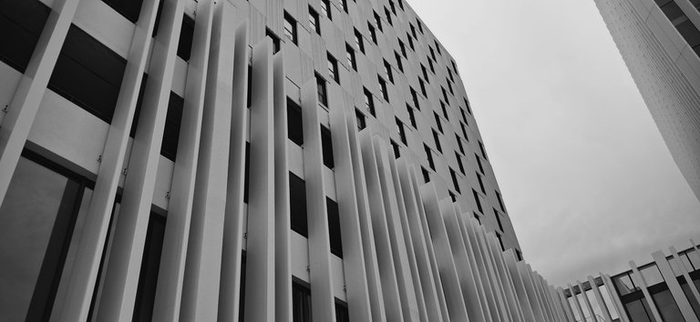 20250601_175746.jpg