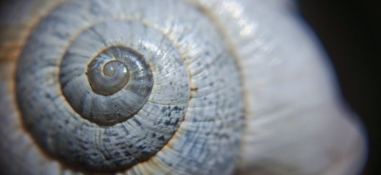 20250615_152944.jpg