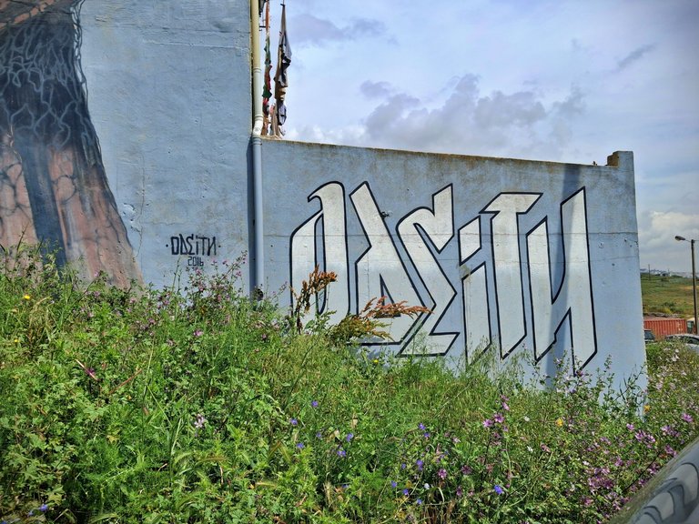 20250507_113312.jpg