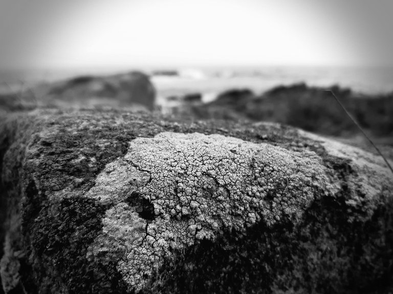 20221009_160409.jpg