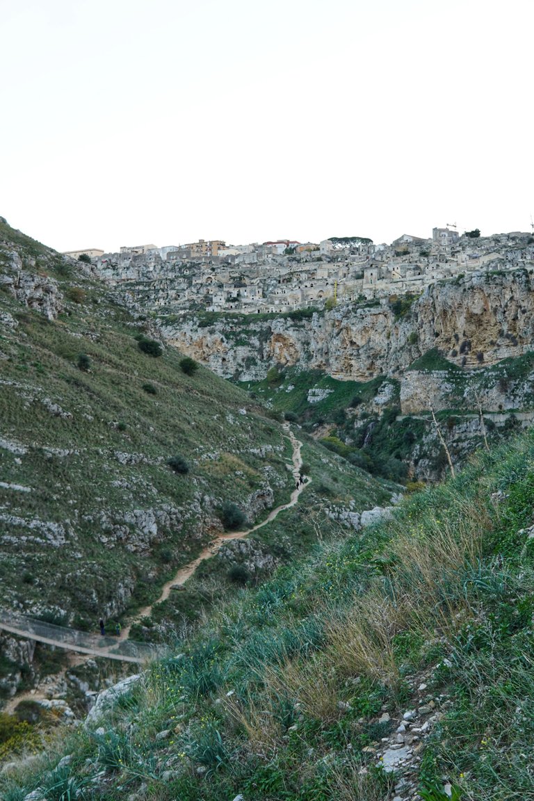 DSC05510-01.jpeg