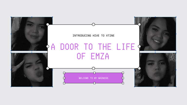 A DOOR TO THE LIFE OF EMZA.png