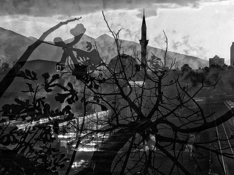 20201212_15162401.jpeg
