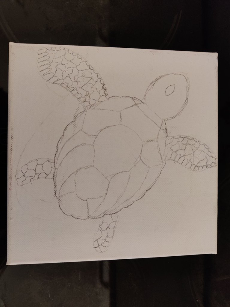 Schildkröte 1.jpg