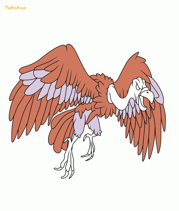5.png