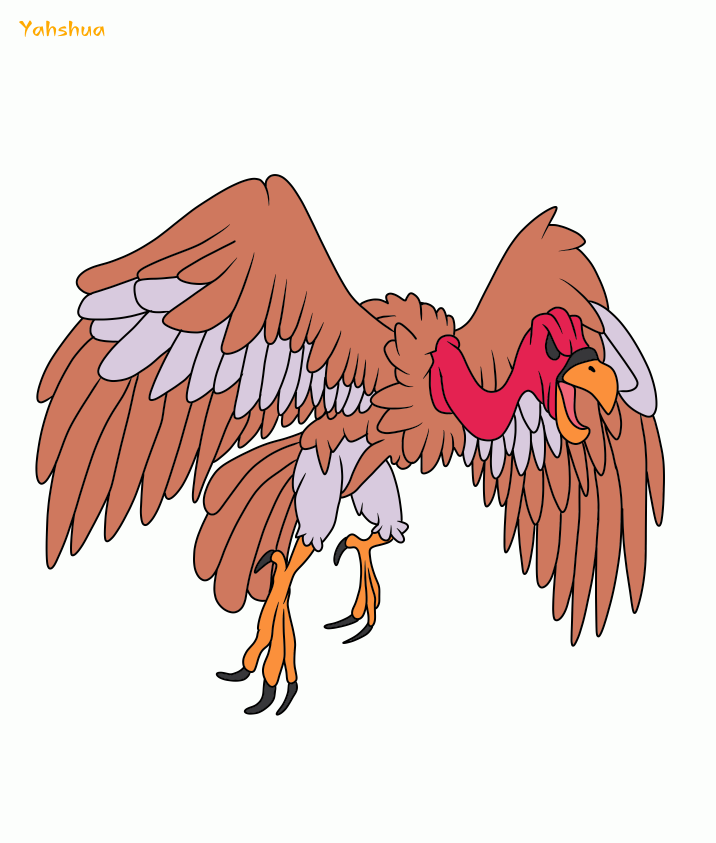 6.png