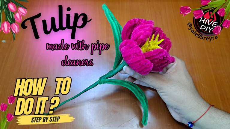 Tulip.png