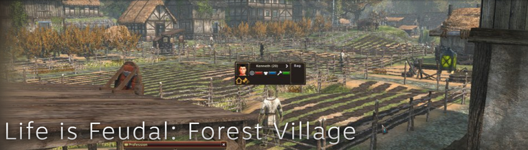 life is Feudal  Forest Village 001.png