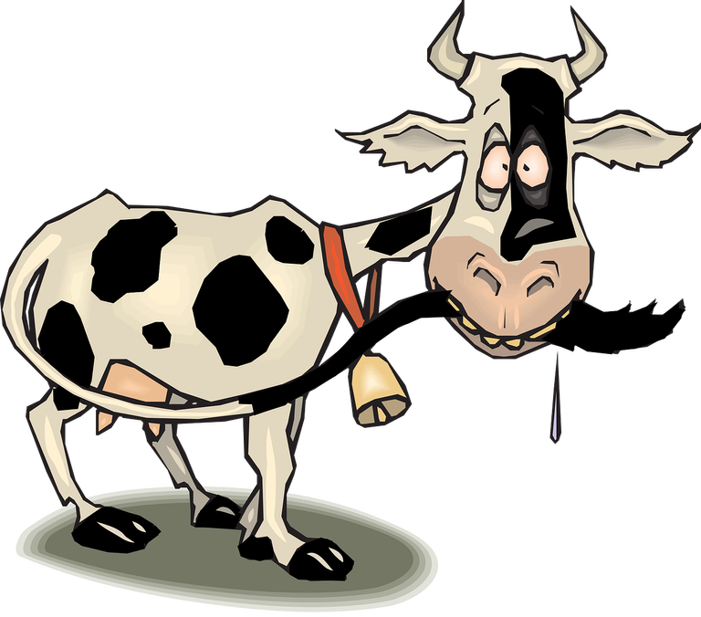 cow-311266_1280.png