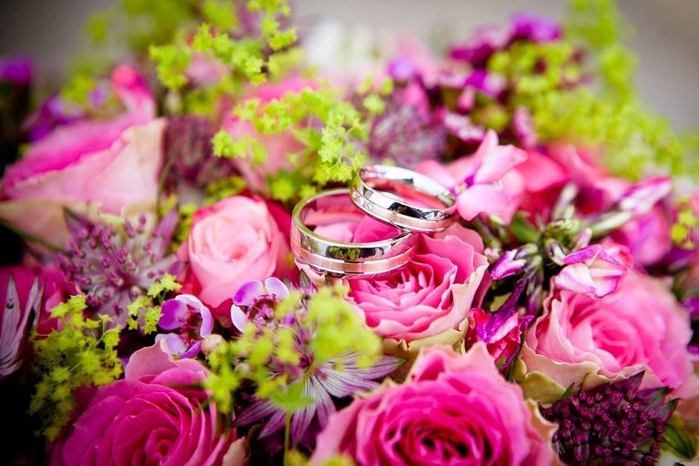 womentboda2.jpg