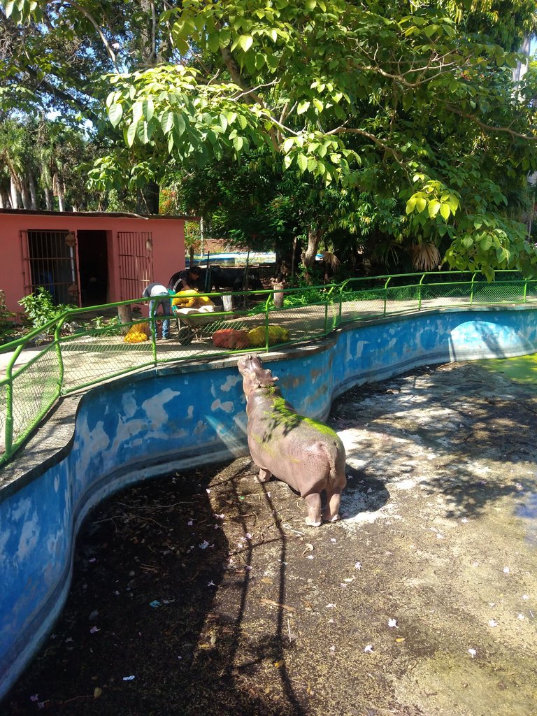 IMG_20250830_102832.jpg