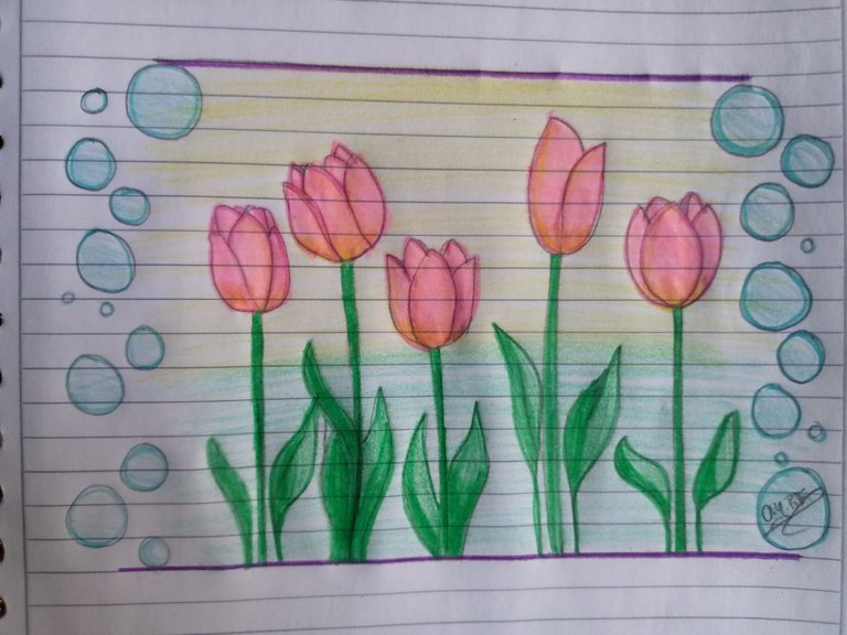 WhatsApp Image 2025-03-16 at 17.49.25.jpeg