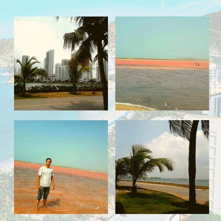 Amarillo Dorado Marrón y Verde Collage Post para Instagram.jpg