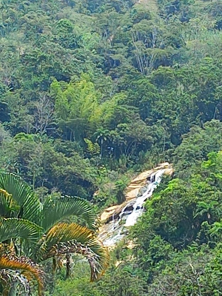 IMG-20230322-WA0015.jpg