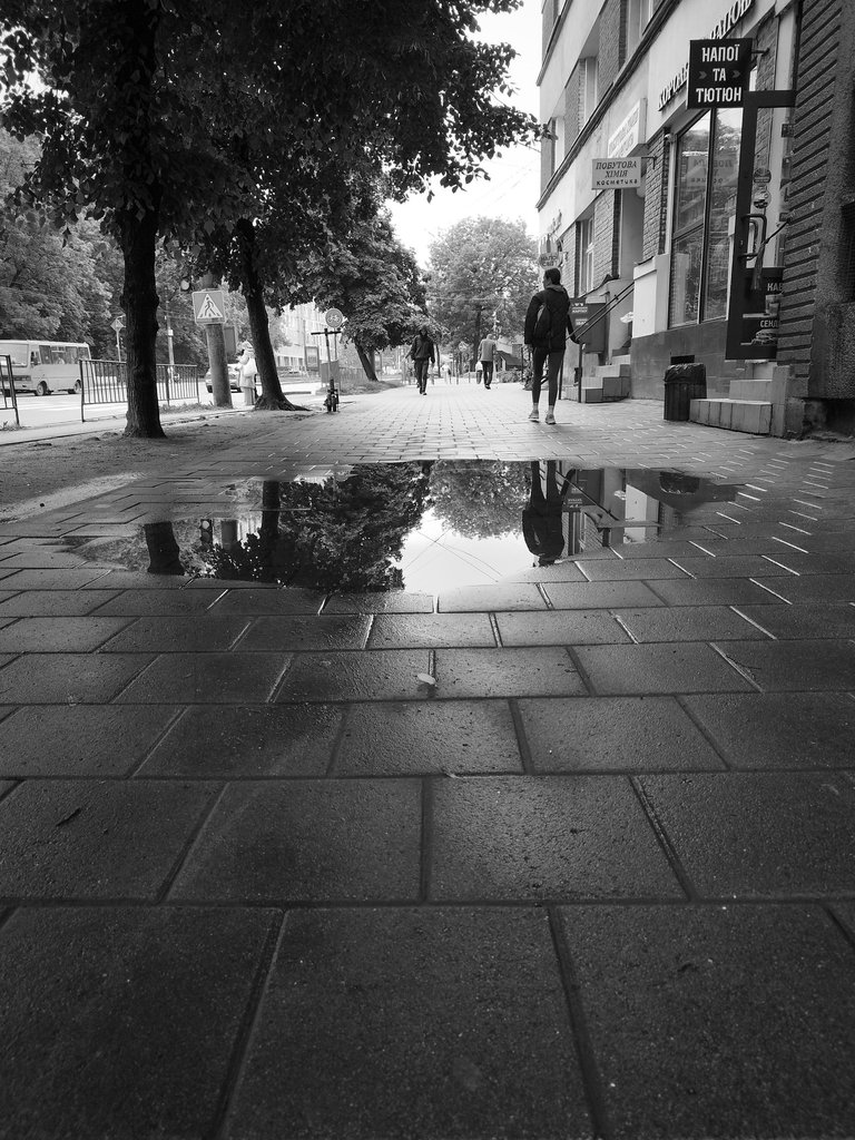 rainy day 11.jpg