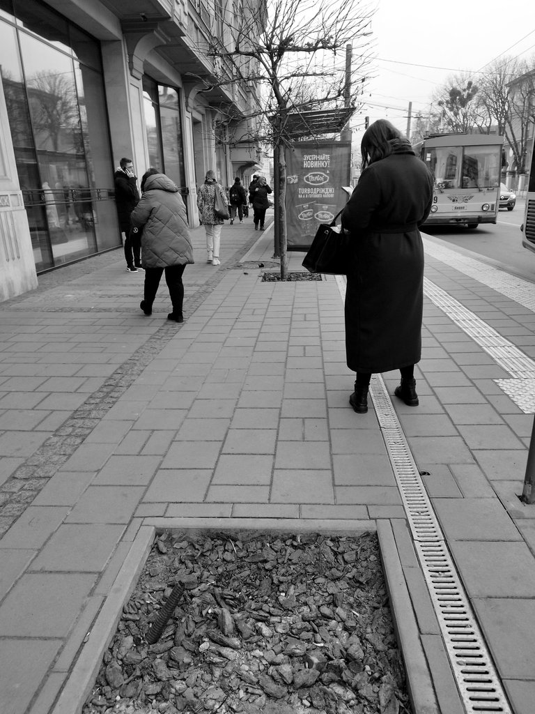 lviv 1.jpg