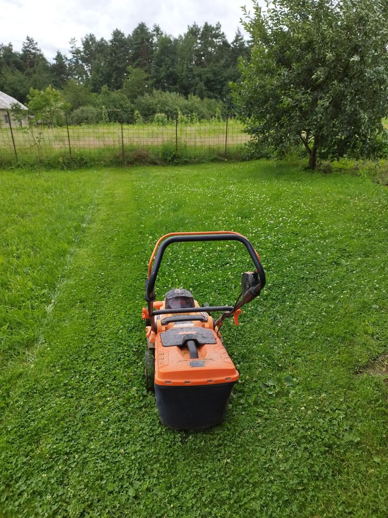 IMG_20240705_123124.jpg
