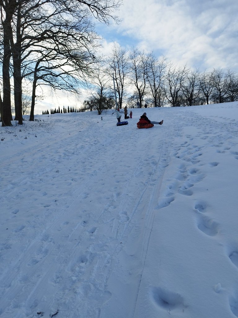 IMG_20240116_155713.jpg
