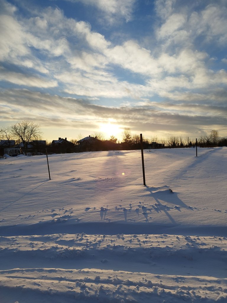 IMG_20240116_161418.jpg