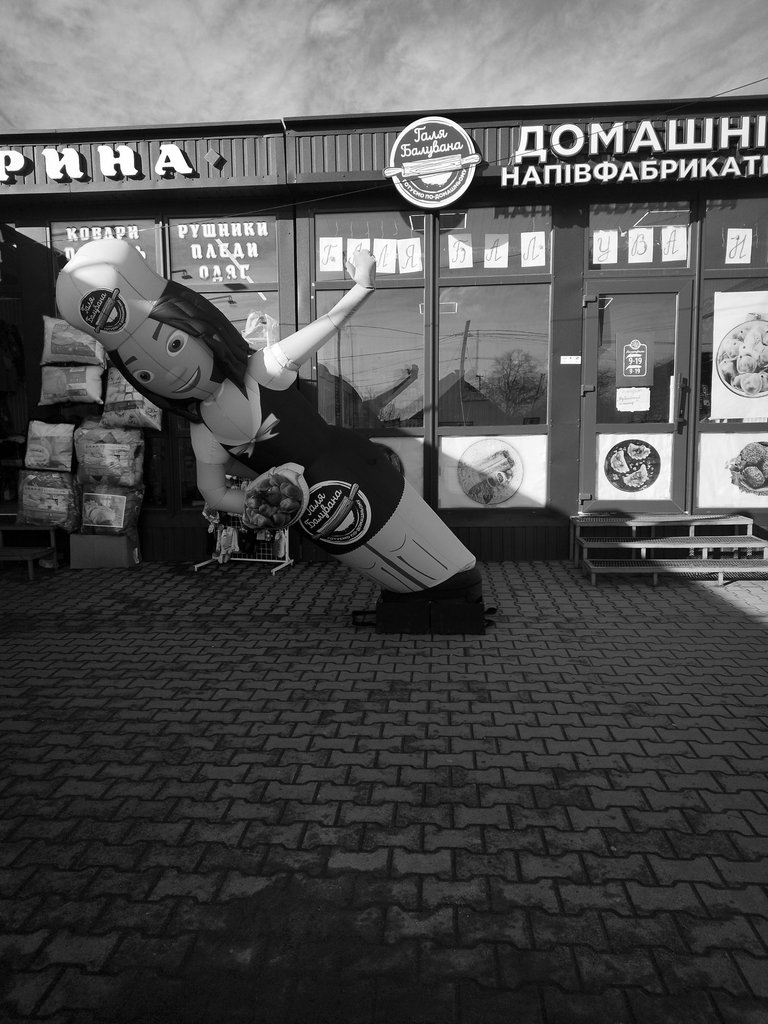 явор 2.jpg